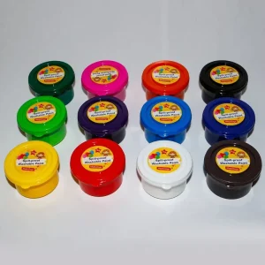 12-Color Spill-Proof Non-Toxic Washable Semi-Solid Kids Paint Set