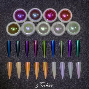 12 Colors Private Label 0.3G Exquisite Nail Pigment Powder Professional Salon Use MSDS Certified Nail Supplies