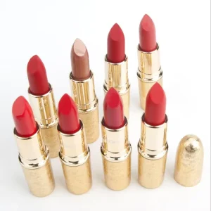 17 Colors Sexy Lipstick Glitter Matte Brand Lip Stick Red Pigments Lipstick Make up Lipsticks Tint