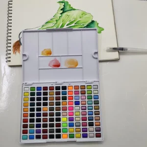 18/25/33/42 Colors Pigment Paint Set Solid Watercolor With Waterbrush
