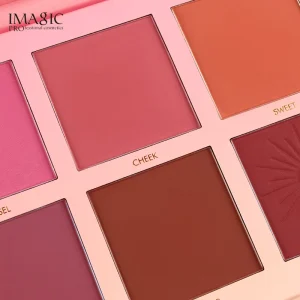 2-in-1 High-Pigment Pink Red Rose 6-Color Long-Lasting Makeup Powder Blush Palette with Private Label