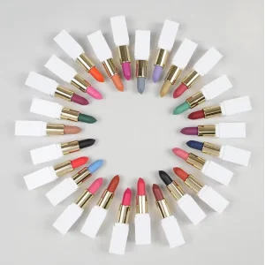 65-Color Waterproof Matte Vegan Lipstick Palette
