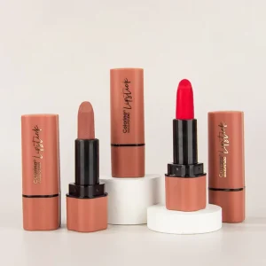 Best Lipstick Private Label Pigment Vegan Long Lasting Waterproof Lipstick