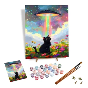 Customizable DIY Paint by Numbers Kit Black Cat Colorful Flower Starry Sky Painting Cartoon Style Handmade for Home Decor
