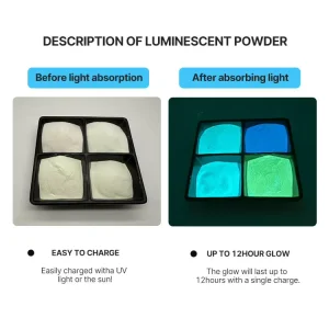 Glow in the Dark Waterborne Luminous Coating Paint Luminescent Pigment Paste for Leather