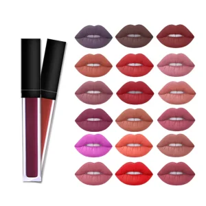 High Pigmented Waterproof Long Lasting Dark Red Matte Lipstick Women’s Nude Liquid Pen with Chemical Formula