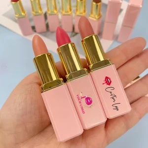 High Quality Vegan Cosmetic Multi Colors Long Lasting Waterproof Lipstick High Pigment Solid Matte Lipstick