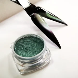 Magnetic Pigment for Professional Polish 3D Nail Art Pigment Powder