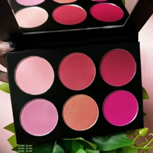 Make up Blush Palette Multi Color Cruelty Free Luxury Pigment Pink Private Label Powder Blush Palette