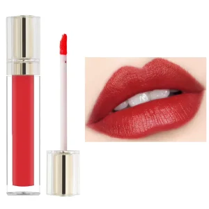 No logo Waterproof Special Label Pigment Set Lip Gloss Supplier Lip Gloss