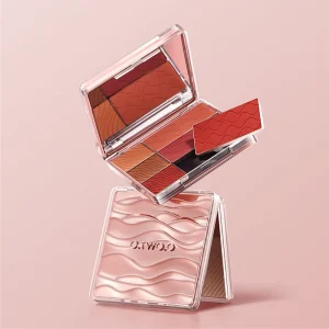 O.TWO.O New Product Customized Makeup Palette DIY Exclusive Pressed Powder Blush Eyeshadow
