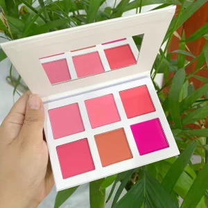 OEM Private Label 6 Colors Blush Makeup Palette High Pigment Vegan Matte Face Blusher Long Lasting