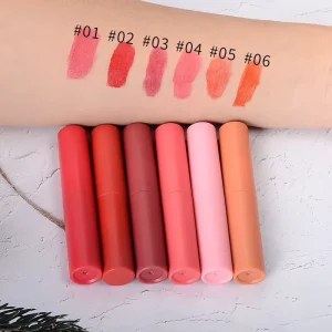 Own Brand Liquid Lipstick Private Label Lipgloss Bulk High Pigment Non Greasy Red Brown Matte Lipstick