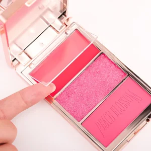 TY Makeup Blushes Multi function Pigmented Blush Highlighter Contour Makeup Palette Private Label Vegan Blush Palette