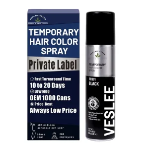 Temporary Hair Color Spray Instant Gray Root Touch up Cover for Men Women Waterproof Smudge Proof Quick Dry Wash Out Salon Bulk