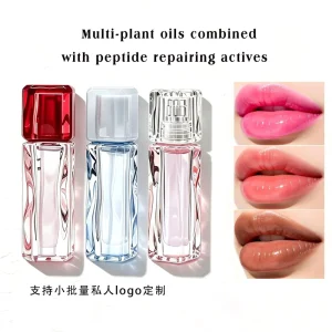 Vegan Lip Makeup Natural Color Private Label Lip Gloss Long Lasting Lip Plumper Gloss