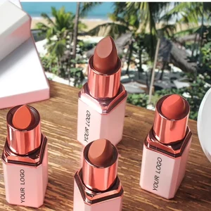 Vegan Waterproof Matte Lipstick