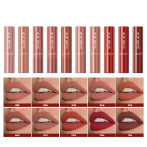 Velvet Matte Lipstick Long Lasting Pigment Waterproof Lipsticks With 10 Colors